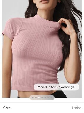 ALO Yoga Rose Pink Mock Neck Short Sleeve Crop Top
